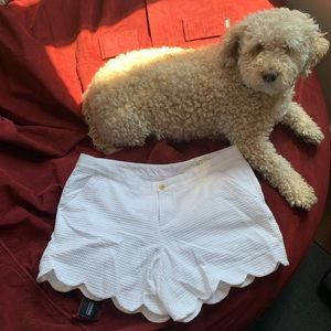 LILY PULITZER White Buttercup Short Sz 10